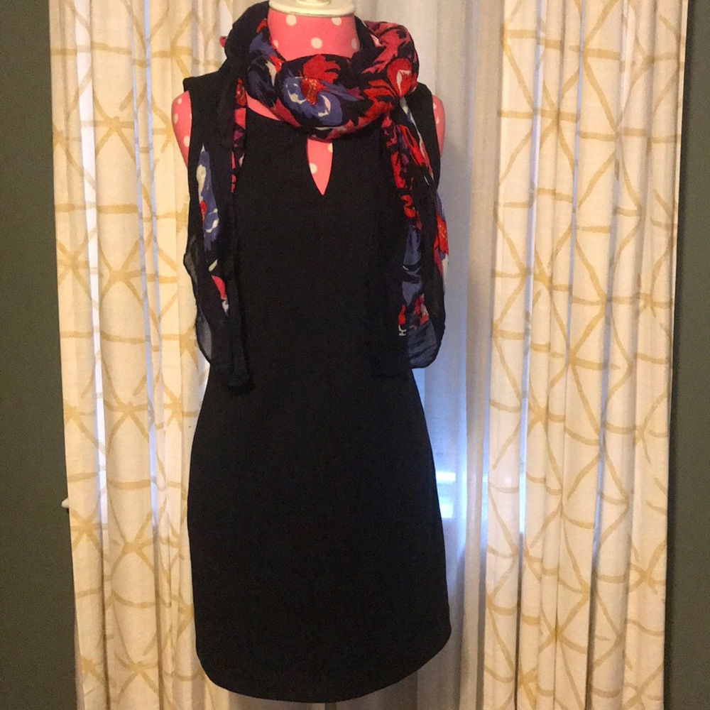 Banana Republic Shift Dress